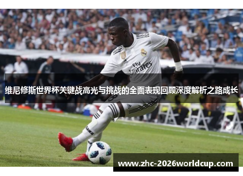 维尼修斯世界杯关键战高光与挑战的全面表现回顾深度解析之路成长